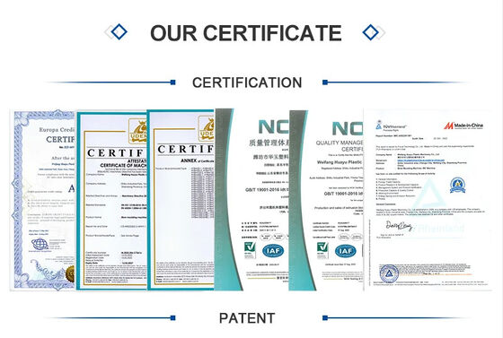 Huayu 2-Layer HDPE Kayak Blow Moulding Machine 2200KN Clamping Force